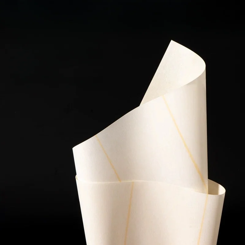 NMN Composite Motor Slot Insulation, product photograph 3 of 5